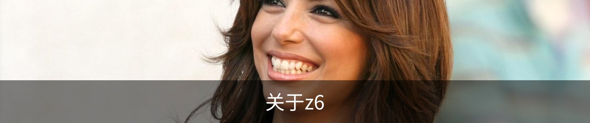 关于z6